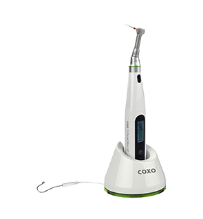 Coxo C - Smart Mini